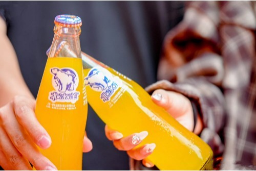 北极熊大挑战:北冰洋携手欧乐堡动物王国守护冰川