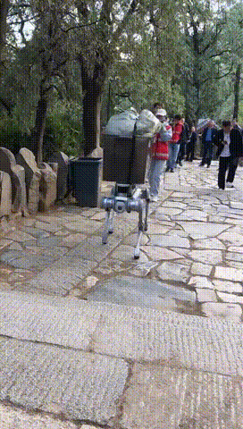 山东一只“机器狗”火遍全网!确实厉害→