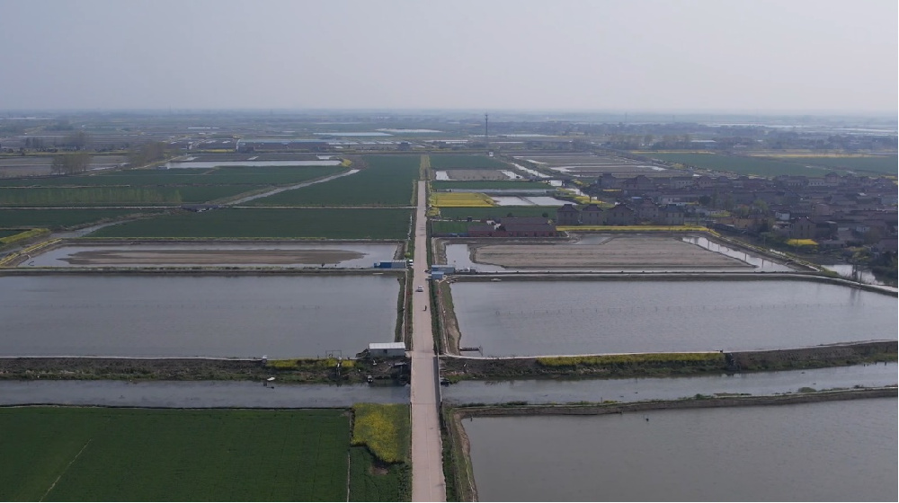 媒体管家： 运满满助力“农村公路+产业”  铺就乡村振兴“快车道”