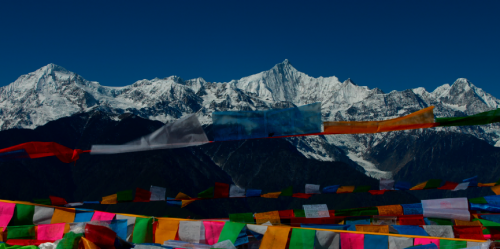 电影《清道夫》——像冰川一样坚固而永恒的爱(图2) 电影《清道夫》——像冰川一样坚固而永恒的爱(图2)