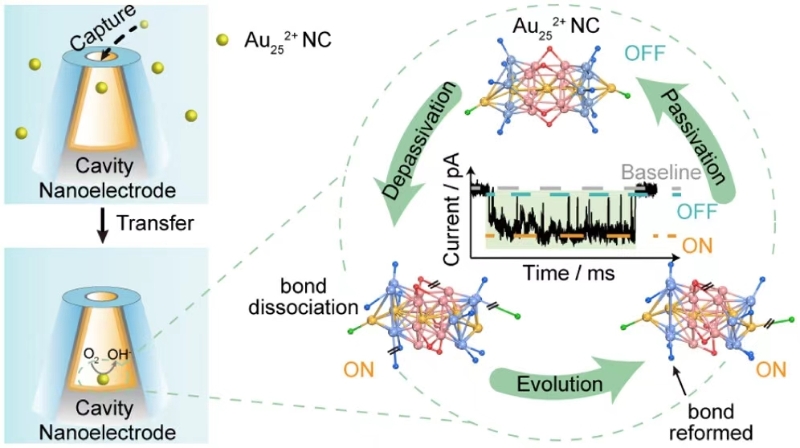 1.jpg 研究团队解析单个团簇在反应中动态结构演变(图1)