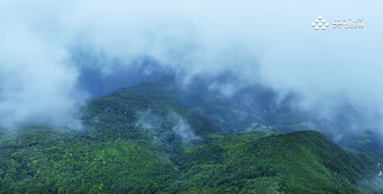 神秘“禁区”哀牢山地磁异常,夜晚释放大量二氧化碳,其实是……(图3) 神秘“禁区”哀牢山地磁异常,夜晚释放大量二氧化碳,其实是……(图3)