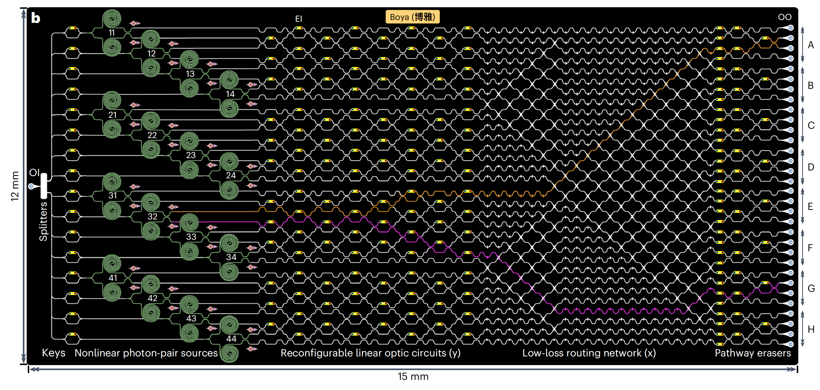 在小指甲盖大小的芯片上构建一座光子城市(图4) 在小指甲盖大小的芯片上构建一座光子城市(图4)