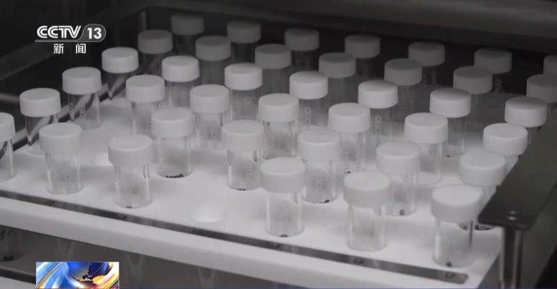 月背“土特产”将开放申请！先发给国内科学家研究(图8)