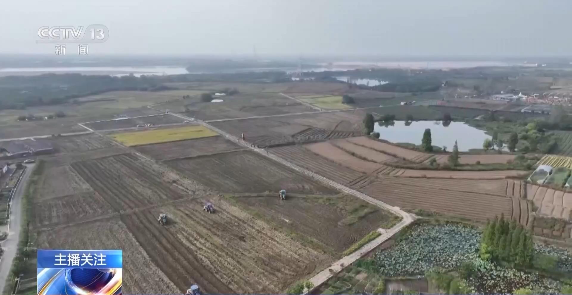 秋收进度超七成！“科技感”为丰产增收按下加速键(图1)