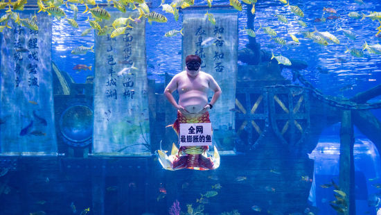 图为胖人鱼“猪鲤”表演剧照。融创海世界 供图 坐拥20亿流量的胖人鱼“猪鲤”首次登陆重庆!亮相重庆融创海世界开启首演(图3)